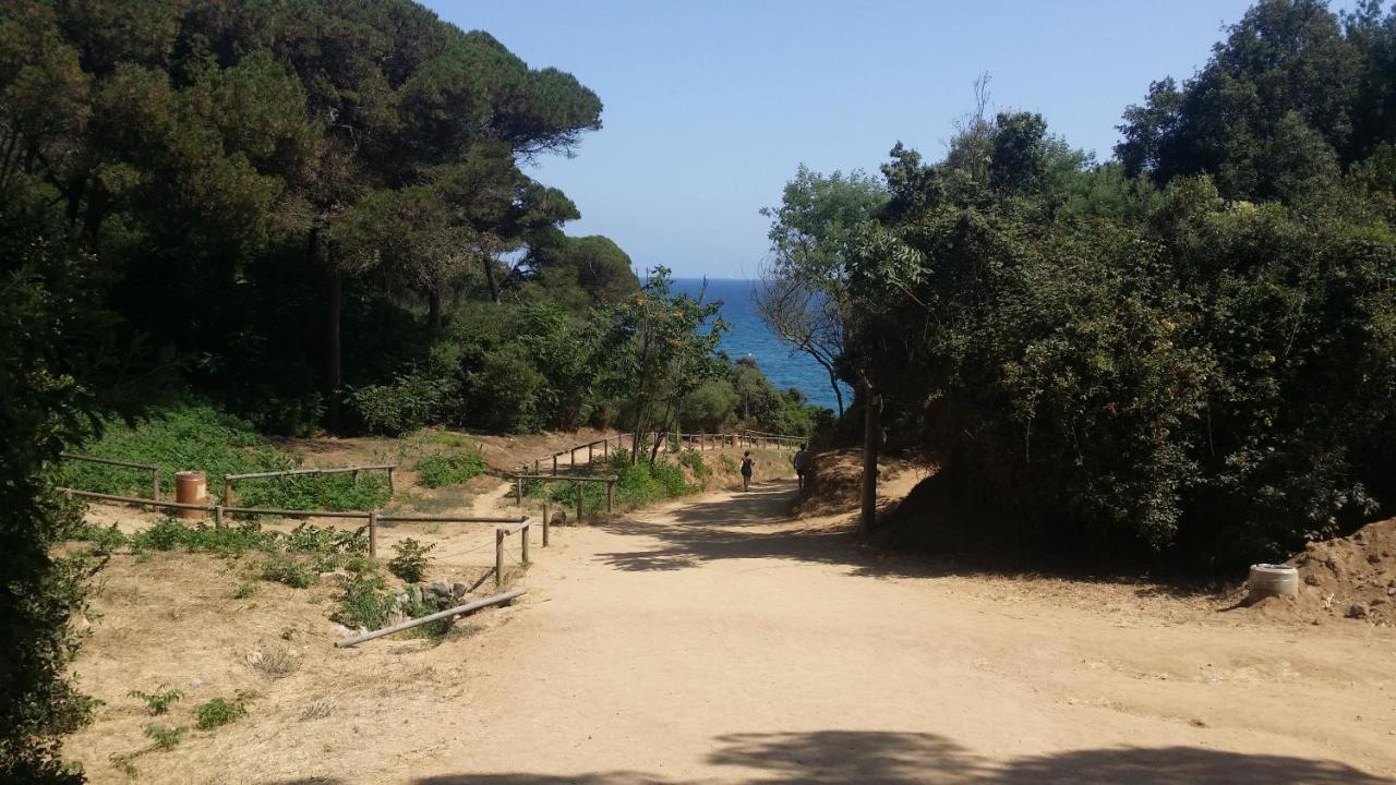 Apartment Sa Boadella Beach, Lloret De Mar - Costa Brava Екстер'єр фото
